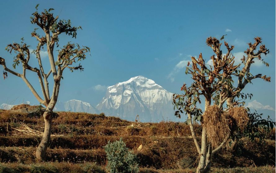 ila-world-baglung